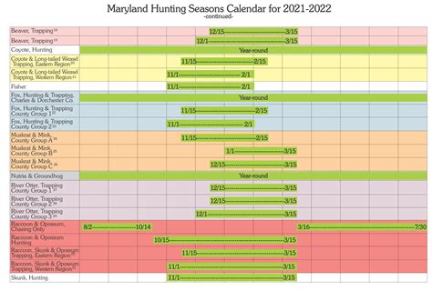 giovedi foriano|FORIO MERRYLAND 2024/2025 IL PROGRAMMA (7 dicembre。